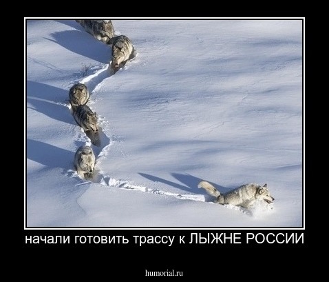начали готовить трассу к ЛЫЖНЕ РОССИИ