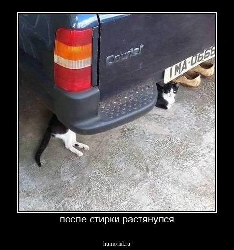 после стирки растянулся