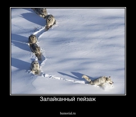 Залайканный пейзаж