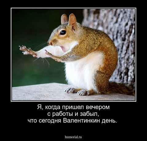 Я, когда пришел вечером с работы и забыл, что сегодня Валентинкин день.