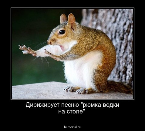 Дирижирует песню "рюмка  водки на  столе"
