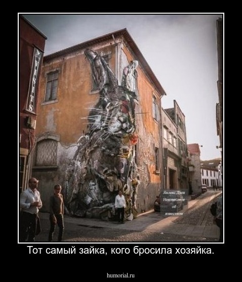 Тот самый зайка, кого бросила хозяйка.