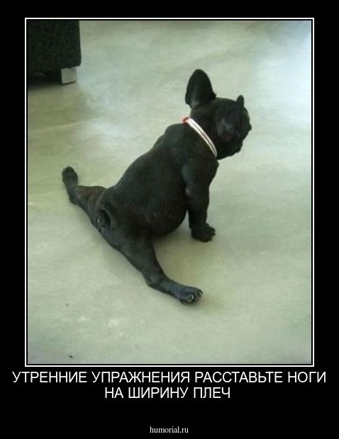 УТРЕННИЕ УПРАЖНЕНИЯ РАССТАВЬТЕ НОГИ НА ШИРИНУ ПЛЕЧ