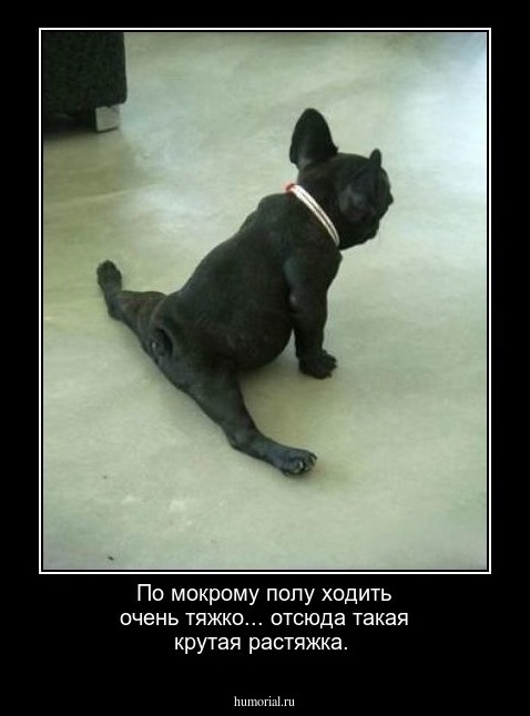 По мокрому полу ходить очень тяжко... отсюда такая крутая растяжка.
