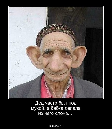 Дед часто был под мухой, а бабка делала из него слона...