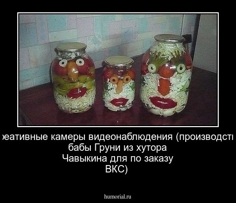 Креативные камеры видеонаблюдения (производство бабы Груни из хутора Чавыкина для по заказу ВКС)