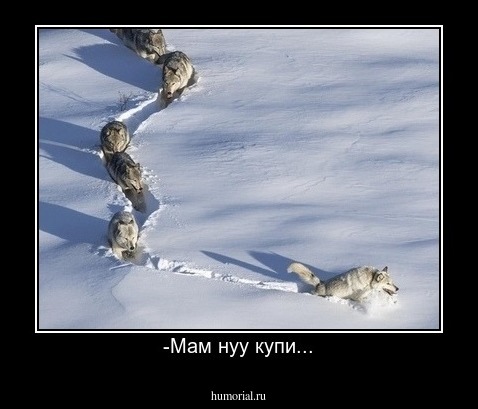 -Мам нуу купи...