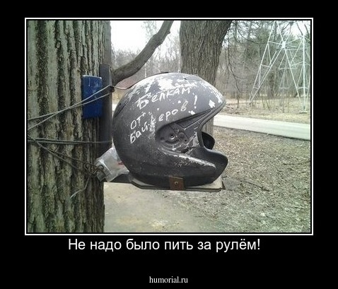 Не надо было пить за рулём!  