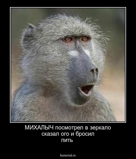 МИХАЛЫЧ посмотрел в зеркало сказал ого и бросил пить 
