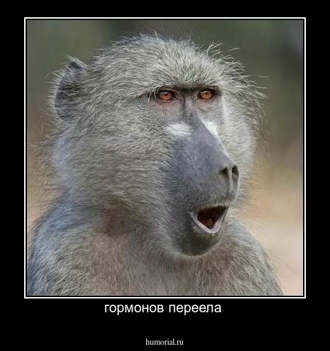 гормонов переела 