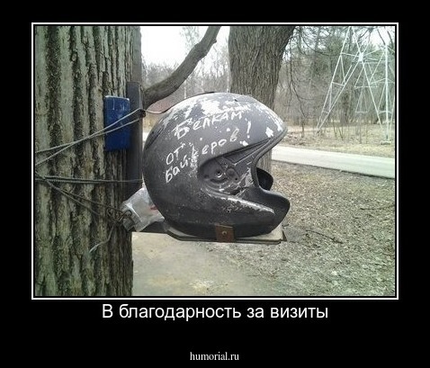 В благодарность за визиты