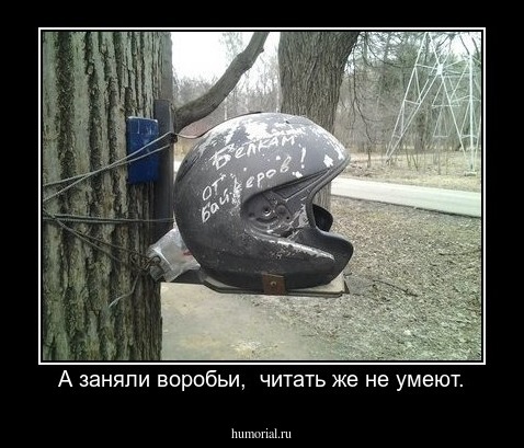 А заняли воробьи,  читать же не умеют.