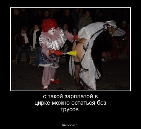 с такой зарплатой в цирке можно остаться без трусов