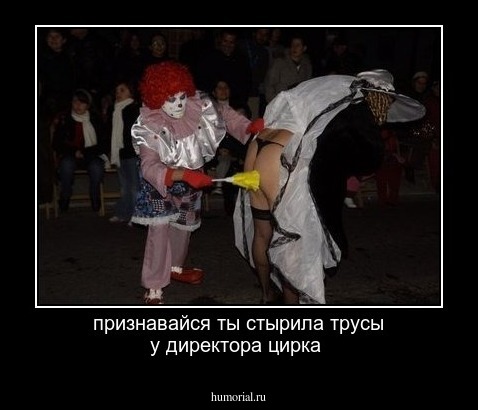 признавайся ты стырила трусы у директора цирка