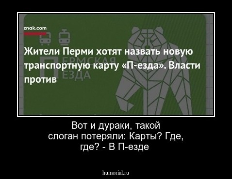 Вот и дураки, такой слоган потеряли: Карты? Где, где? - В П-езде