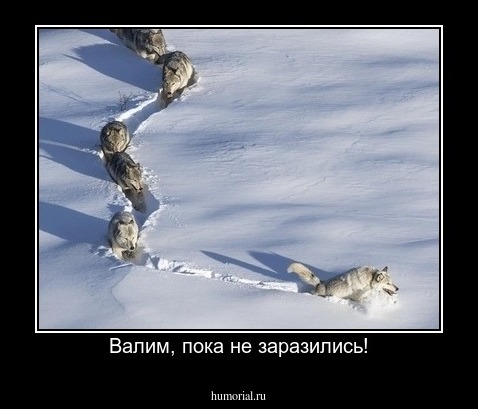 Валим, пока не заразились!