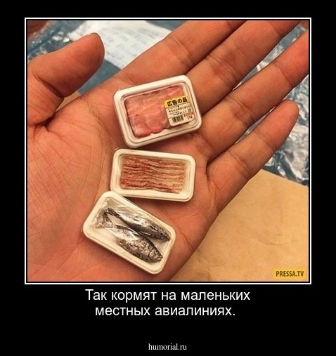  Так кормят на маленьких местных авиалиниях.