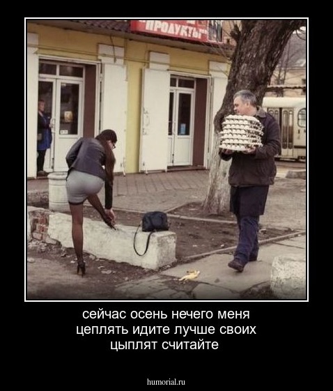сейчас осень нечего меня цеплять идите  лучше своих цыплят считайте 