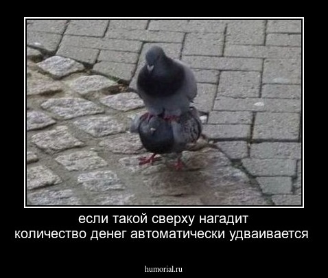 если такой сверху нагадит количество денег автоматически удваивается 