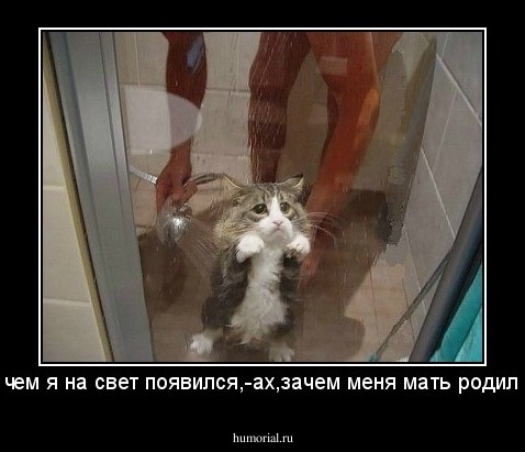 =Ах,зачем я на свет появился,-ах,зачем меня мать родила?...=  