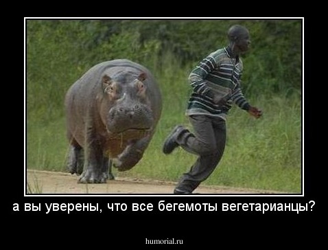 а вы уверены, что все бегемоты вегетарианцы?