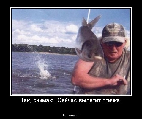 Так, снимаю. Сейчас вылетит птичка!