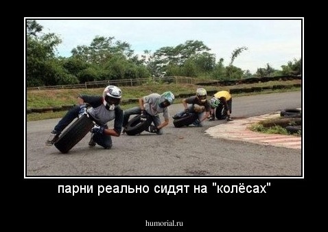 парни реально сидят на "колёсах"