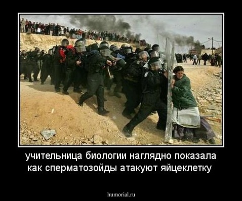 учительница биологии наглядно показала как сперматозойды атакуют яйцеклетку