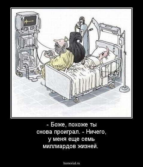 - Боже, похоже ты снова проиграл. 
- Ничего, у меня еще семь миллиардов жизней.