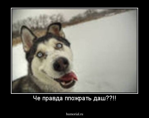 Че правда ппожрать даш??!!