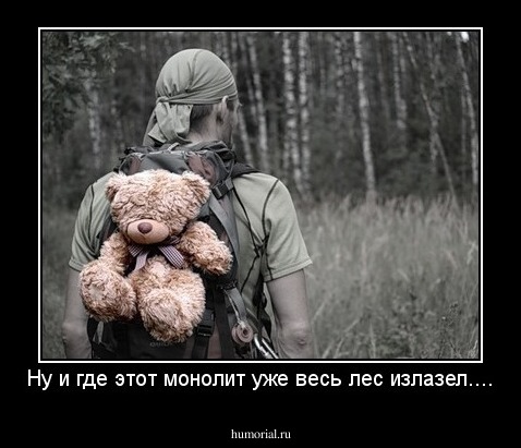 Ну и где этот монолит уже весь лес излазел....