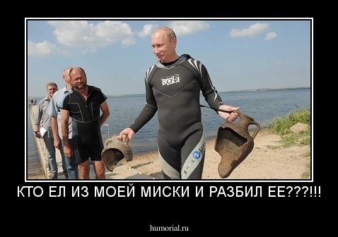 КТО ЕЛ ИЗ МОЕЙ МИСКИ И РАЗБИЛ ЕЕ???!!!