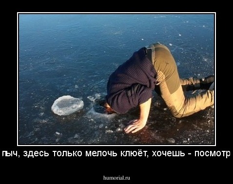 Михалыч, здесь только мелочь клюёт, хочешь - посмотри сам