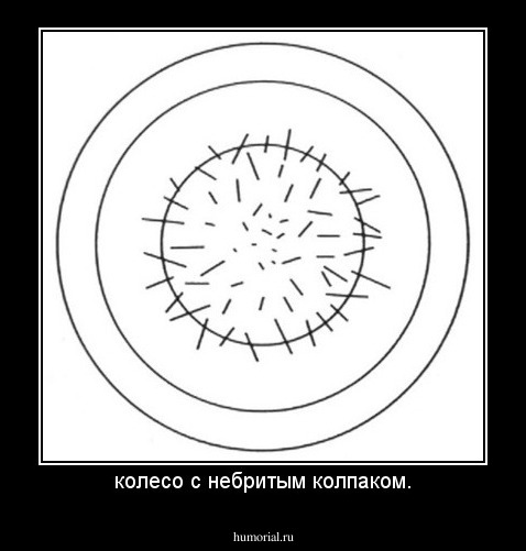 колесо с небритым колпаком.