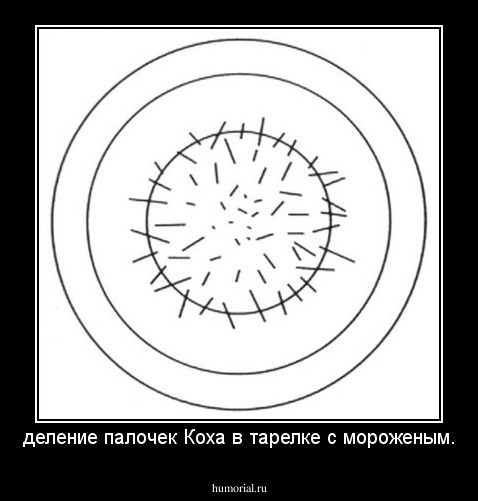деление палочек Коха в тарелке с мороженым.
