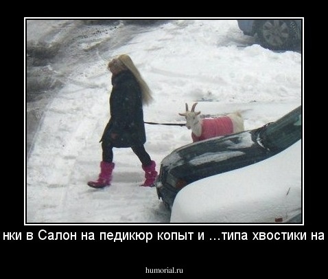Блондинки в Салон на педикюр копыт и ...типа хвостики начесать!