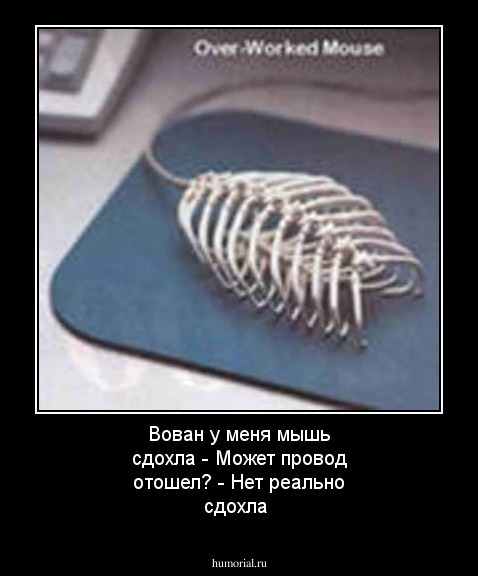 Вован у меня мышь сдохла    - Может провод отошел?    - Нет реально сдохла