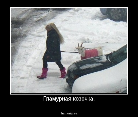 Гламурная козочка.