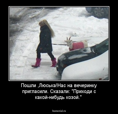Пошли ,Люська!Нас на вечеринку пригласили. Сказали: "Приходи с какой-нибудь козой."