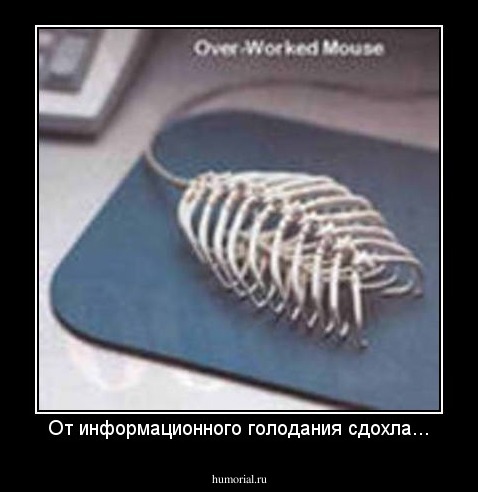 От информационного голодания сдохла...