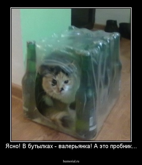 Ясно! В бутылках - валерьянка! А это пробник...