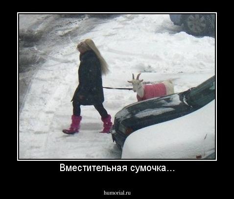 Вместительная сумочка...