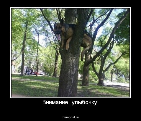 Внимание, улыбочку!