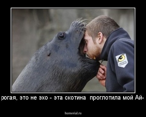 - Дорогая, это не эхо - эта скотина  проглотила мой Ай-фон!