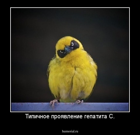 Типичное проявление гепатита С.
