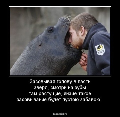 Засовывая голову в пасть зверя, смотри на зубы там растущие, иначе такое засовывание будет пустою забавою!