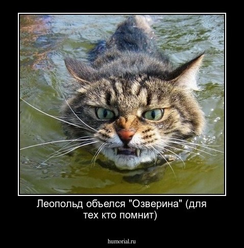 Леопольд объелся "Озверина" (для тех кто помнит)