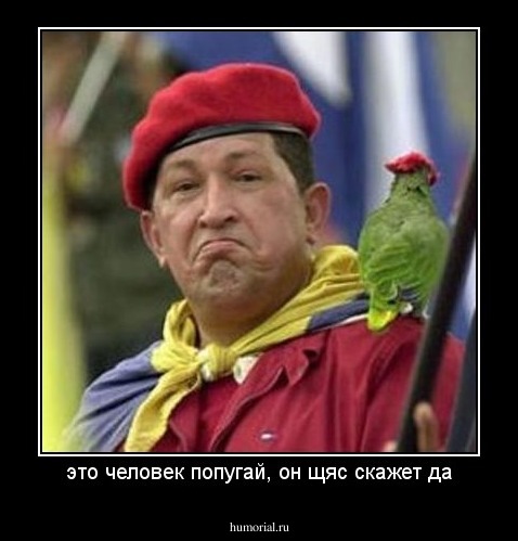это человек попугай, он щяс скажет да