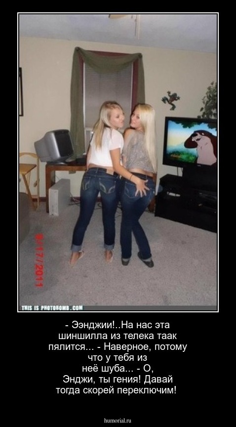 - Ээнджии!..На нас эта шиншилла из телека таак пялится...
- Наверное, потому что у тебя из неё шуба...
- О, Энджи, ты гения! Давай тогда скорей переключим!

