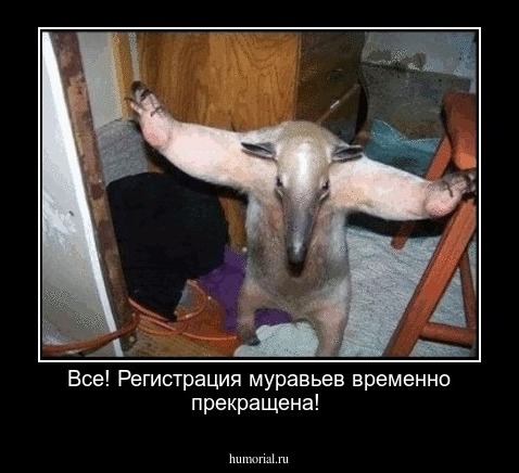 Все! Регистрация муравьев временно прекращена!
